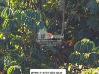 LINDA CHÁCARA COM POTENCIAL COMERCIAL/RESIDENCIAL.