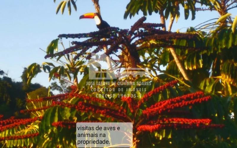 LINDA CHÁCARA COM POTENCIAL COMERCIAL/RESIDENCIAL.