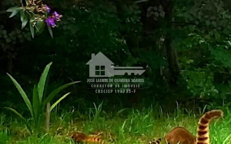 LINDA CHÁCARA COM POTENCIAL COMERCIAL/RESIDENCIAL.