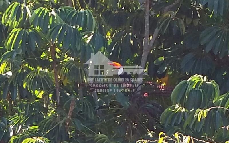 LINDA CHÁCARA COM POTENCIAL COMERCIAL/RESIDENCIAL.